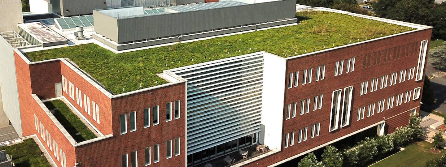 Green roof
