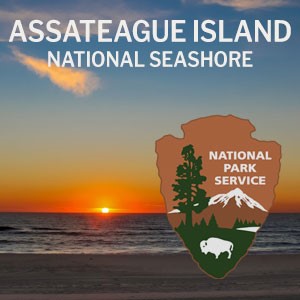 Assateague National Seashore Logo