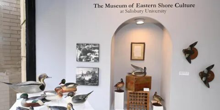 The Museum of Eastern Shore Culture display of bird wood carvings